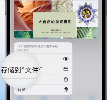 小金apple维修中心分享iPhone文件应用中存储和找到下载文件