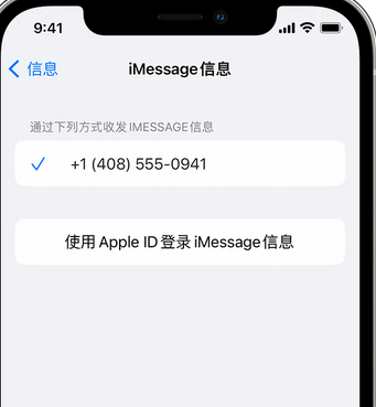 小金apple维修iPhone上无法正常发送iMessage信息 