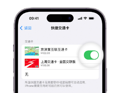 小金apple维修点分享iPhone上更换Apple Pay快捷交通卡手绘卡面 