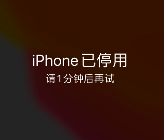 小金苹果手机维修分享:iPhone 显示“不可用”或“已停用”怎么办？还能保留数据吗？ 