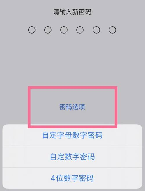 小金苹果14维修分享iPhone 14plus设置密码的方法 