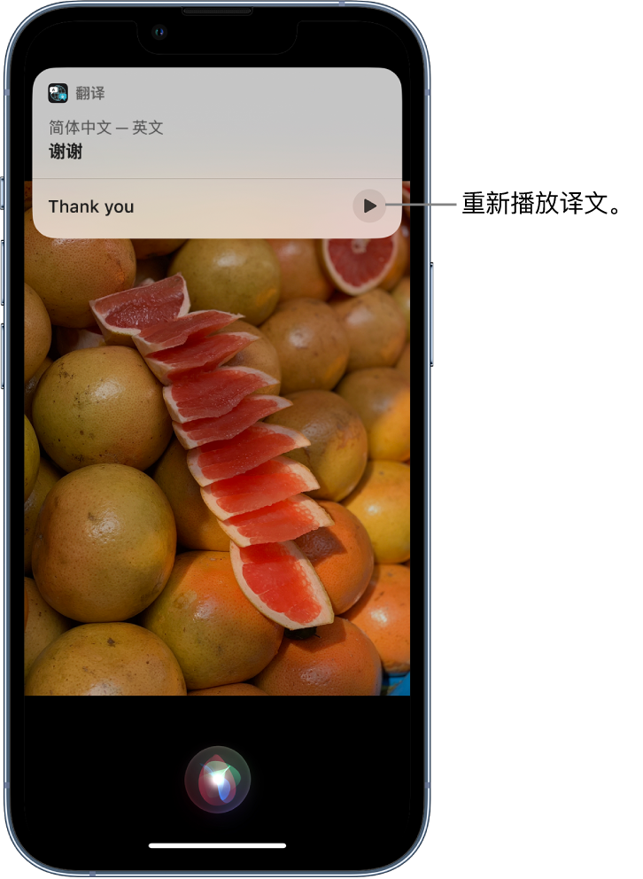 小金苹果14维修分享 iPhone 14 机型中使用 Siri：了解 Siri 能帮你做什么 