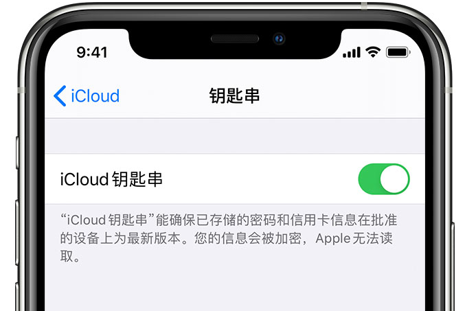 小金苹果手机维修分享在 iPhone 上开启 iCloud 钥匙串之后会储存哪些信息 