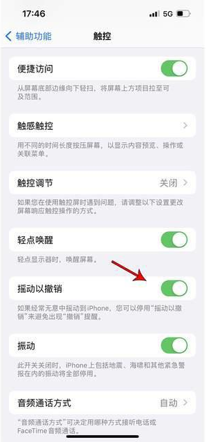 小金苹果手机维修分享iPhone手机如何设置摇一摇删除文字 