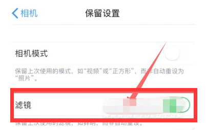 小金苹果13维修分享iPhone13拍照有绿点是怎么回事 