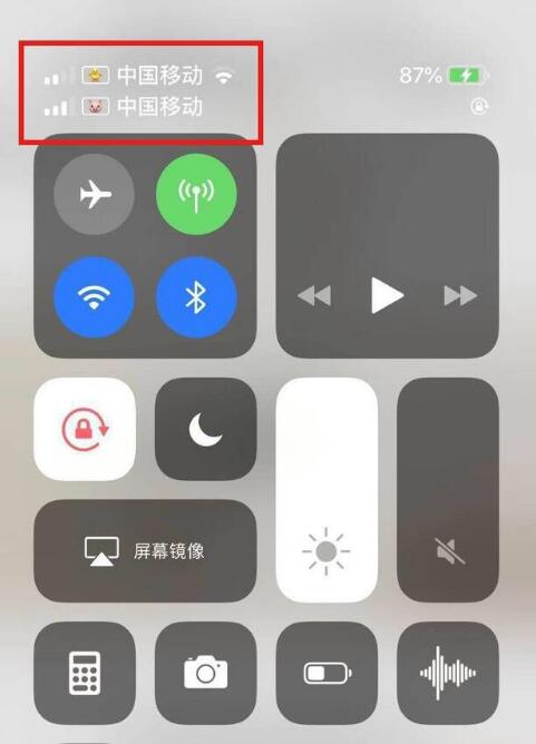 小金苹果手机维修分享为 iPhone 12 双卡设置标签 